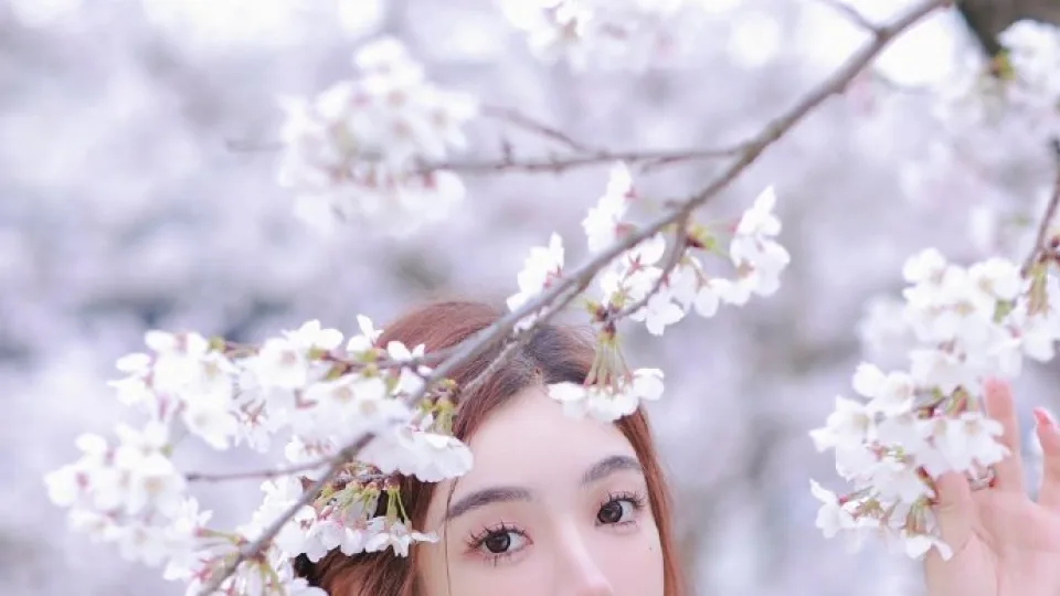 吃瓜网、51cg、吃瓜福利：画面信息密度视频观察｜51每日吃瓜网播放预览封面